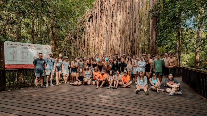 Rainforest Adventure